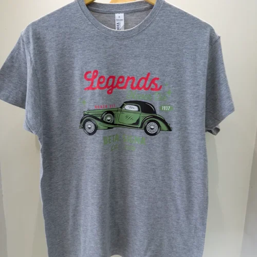 LEGENDS REGULAR TSHIRT GREY FRONT VIEW